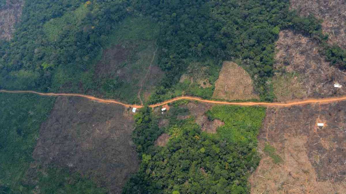 La deforestación en Guaviare no para. La vía entre Miraflores y Calamar crece y devora más selva. Foto: Rodrigo Botero.
