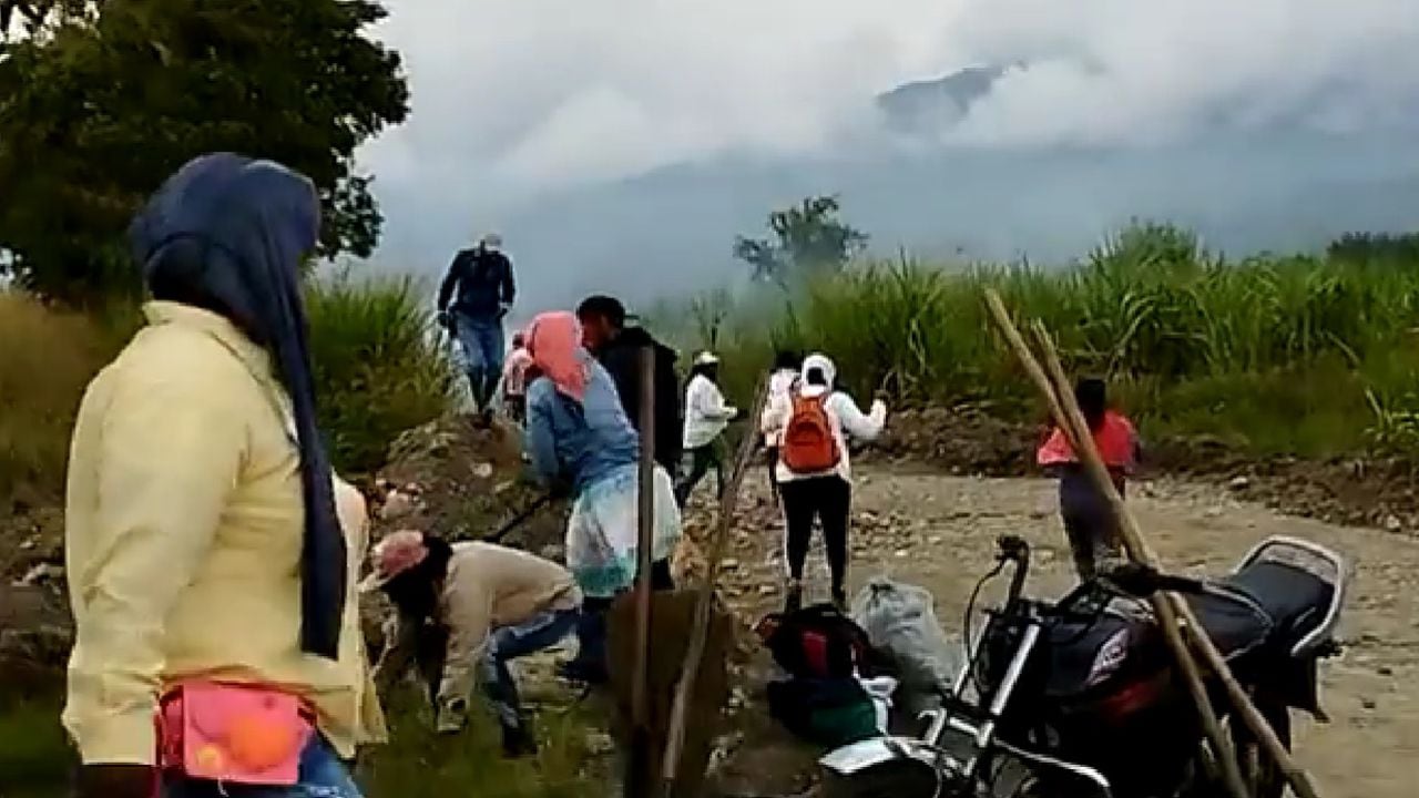 En los últimos meses se ha vivido una fuerte tensión en los cultivos de caña ubicados en el norte del Cauca, donde organizaciones indígenas han entrado a invadir.