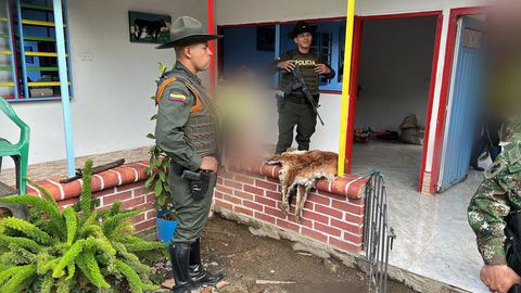 Los hombres fueron capturados  por supuestamente estar detrás de  la muerte de un Puma  Concolor en el Valle del Cauca.