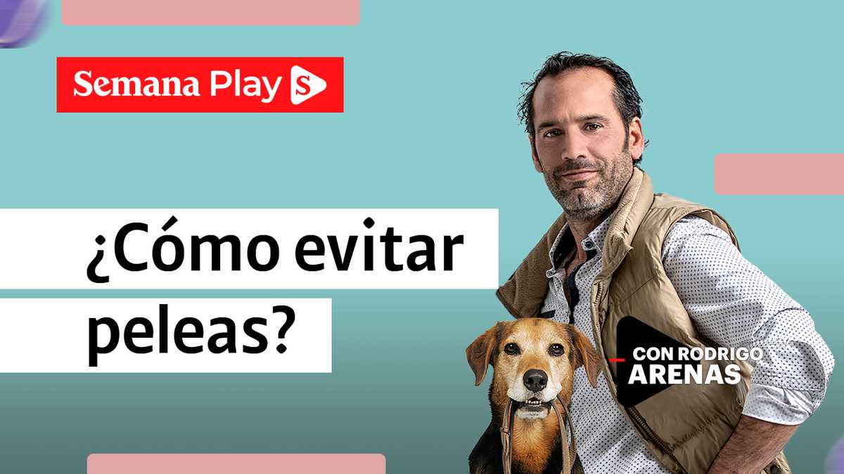 ¿Cómo evitar peleas entre perros? | Rodrigo Arenas en EduCANdo Manadas