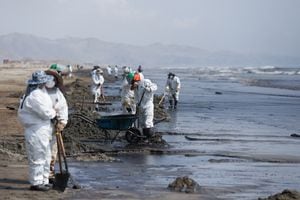 Los trabajadores limpian un derrame de petróleo causado por olas anormales, provocadas por una erupción volcánica submarina masiva a medio mundo de distancia en Tonga, en la playa peruana en Ventanilla, Perú, 18 de enero de 2022. Foto REUTERS/Pilar Olivares