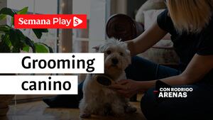 Grooming canino | Rodrigo Arenas en EduCANdo Manadas
