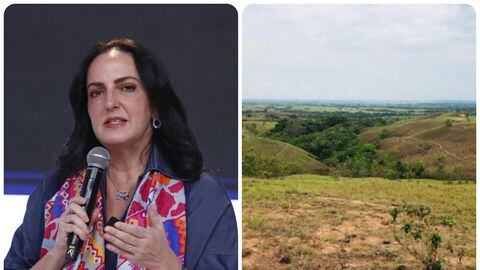 La senadora María Fernanda Cabal presentó cifras sobre la tenencia de la tierra en Colombia.