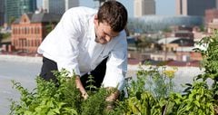 “La agricultura urbana va a pasar de ser un hábito ocasional a convertirse en un sistema”