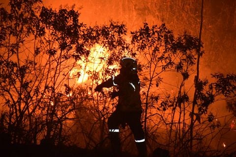 El Fenómeno de El Niño aumenta el riesgo de que ocurran incendios forestales de grandes proporciones. Municipios como Jamundí y Guacarí no cuentan con brigada forestal.