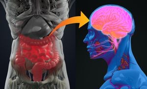 Conexión intestino-cerebro o eje intestino-cerebro. Arte conceptual que muestra una conexión desde el intestino hasta el cerebro. ilustración 3d