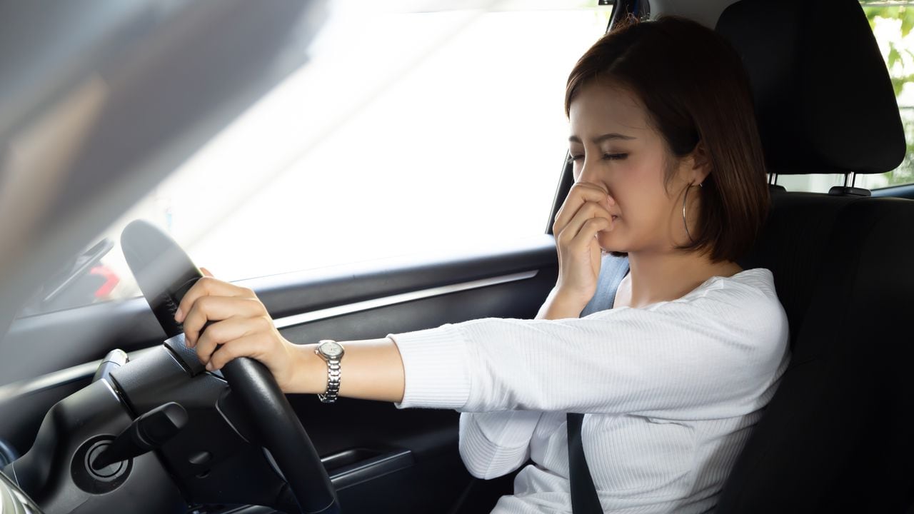 Tips para quitar el olor a húmedo en el carro.