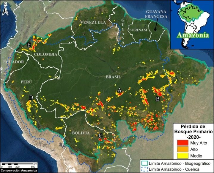 Pérdida de bosque primario en la Amazonia