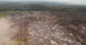 Cientos de hectáreas de bosque han sido deforestadas en la Serranía de Chiribiquete entre finales de 2020 y comienzos de este año. Foto: Fiscalía General de la Nación- Colombia hoy 