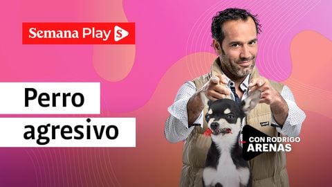 Perro agresivo - Rodrigo Arenas en EduCANdo Manadas