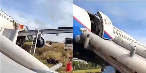 El avión aterrizó de emergencia en un campo abierto.