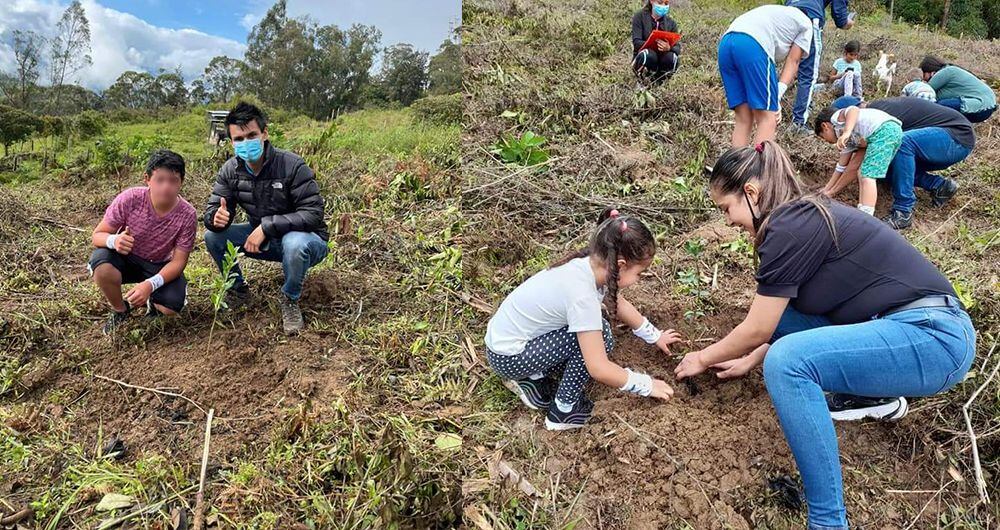 Gracias a la jornada deportiva y de recuperación ambiental, 518 árboles entre Robles y Arrayanes fueron plantados en Ubalá, Cundinamarca.