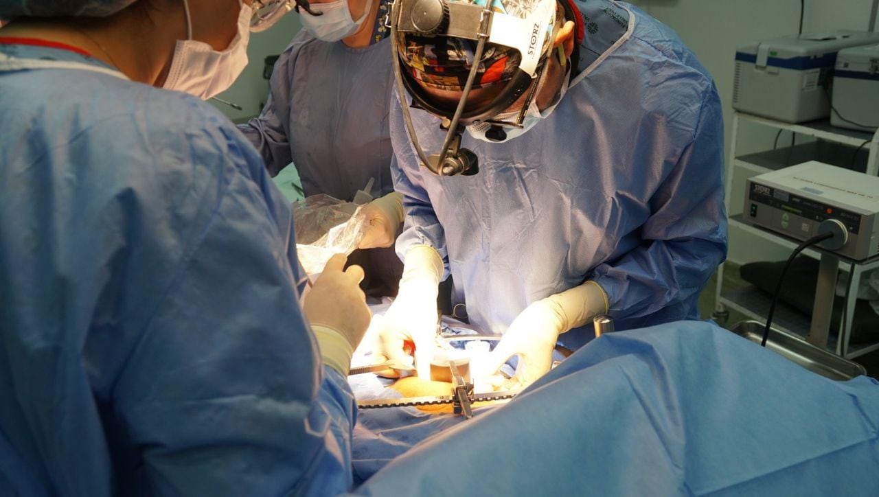 Imagen de referencia cirugía y trasplante de órganos.
