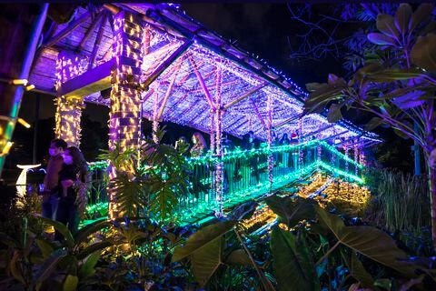 Noche de velitas en Jardin Botanico inicio de navidad