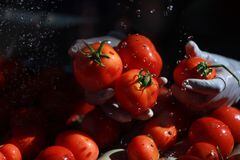 Estos frutos están repletos de carotenoides , un tipo particular de antioxidante que protege la piel del daño solar