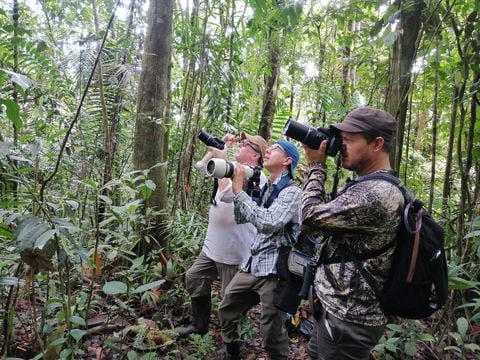 Julián Parra ha venido promoviendo desde su emprendimiento, el avistamiento de aves en el Chocó.