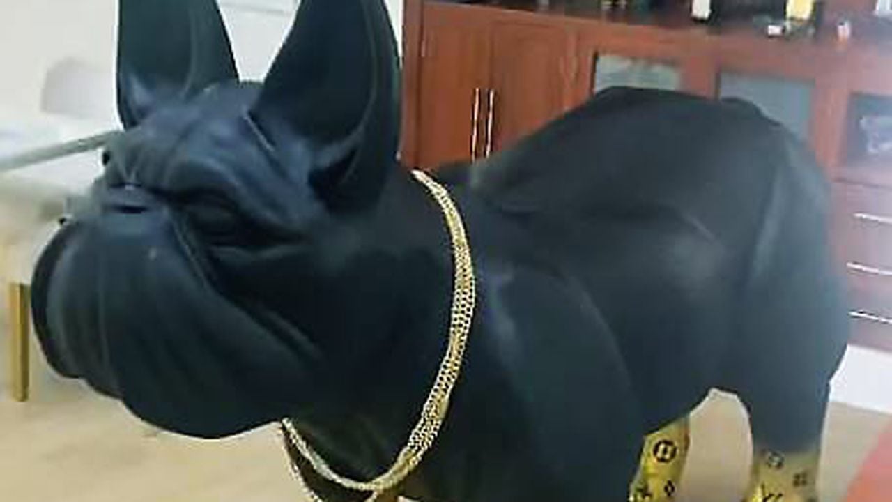 La estatua de un perro con enchapes de oro en la casa de un señalado narcotraficante por la Policía.