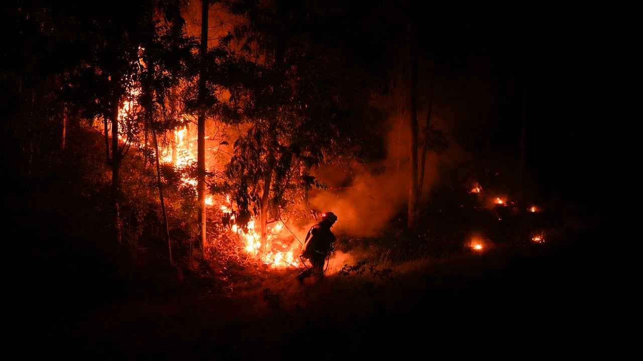Boric dijo en Twitter que seguía trabajando "para enfrentar los incendios forestales y apoyar a las familias".