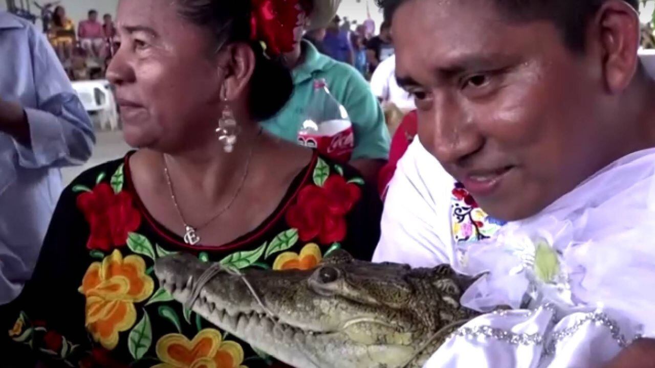Fuente de imagen video Agencia Reuters, In age-old ritual, Mexican mayor weds crocodile to secure abundance, ft: 0,37
