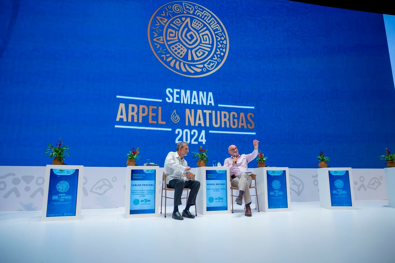 Luz Stella Murgas, presidente de Naturgas, se refirió al futuro del abastecimiento de gas en Colombia.