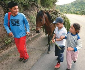 Más de 400.000 niños colombianos trabajan en actividades agrícolas.