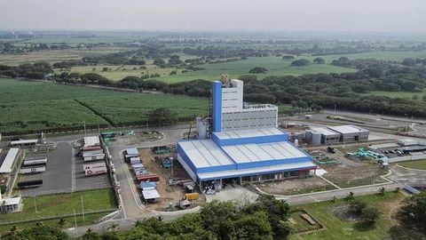 Centro de producción de Palmira, reconocido por ser uno de los principales en América Latina.