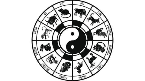 Horóscopo chino