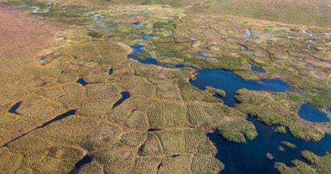 Durante miles de años, de forma permanente, el permafrost ha acumulado grandes cantidades de carbono orgánico.