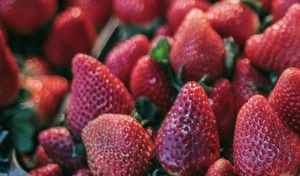 La FDA en Estados Unidos emitió una alerta para retirar fresas que estarían contaminadas con el virus de la hepatitis A