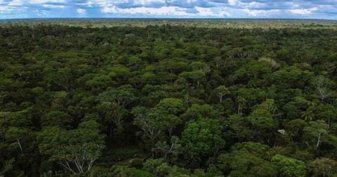 Foto aérea del Amazonas colombiano.