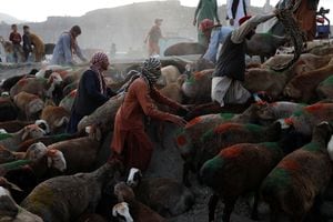 Los vendedores afganos esperan a los clientes en un mercado de ganado antes de Eid al-Adha en Kabul, Afganistán, el 8 de julio de 2022. Foto REUTERS/Ali Khara