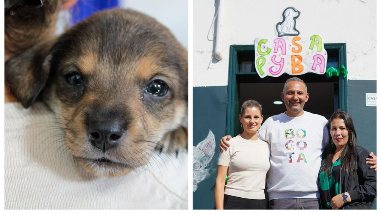 Se lanzó la primera casa de Protección y Bienestar Animal de Bogotá