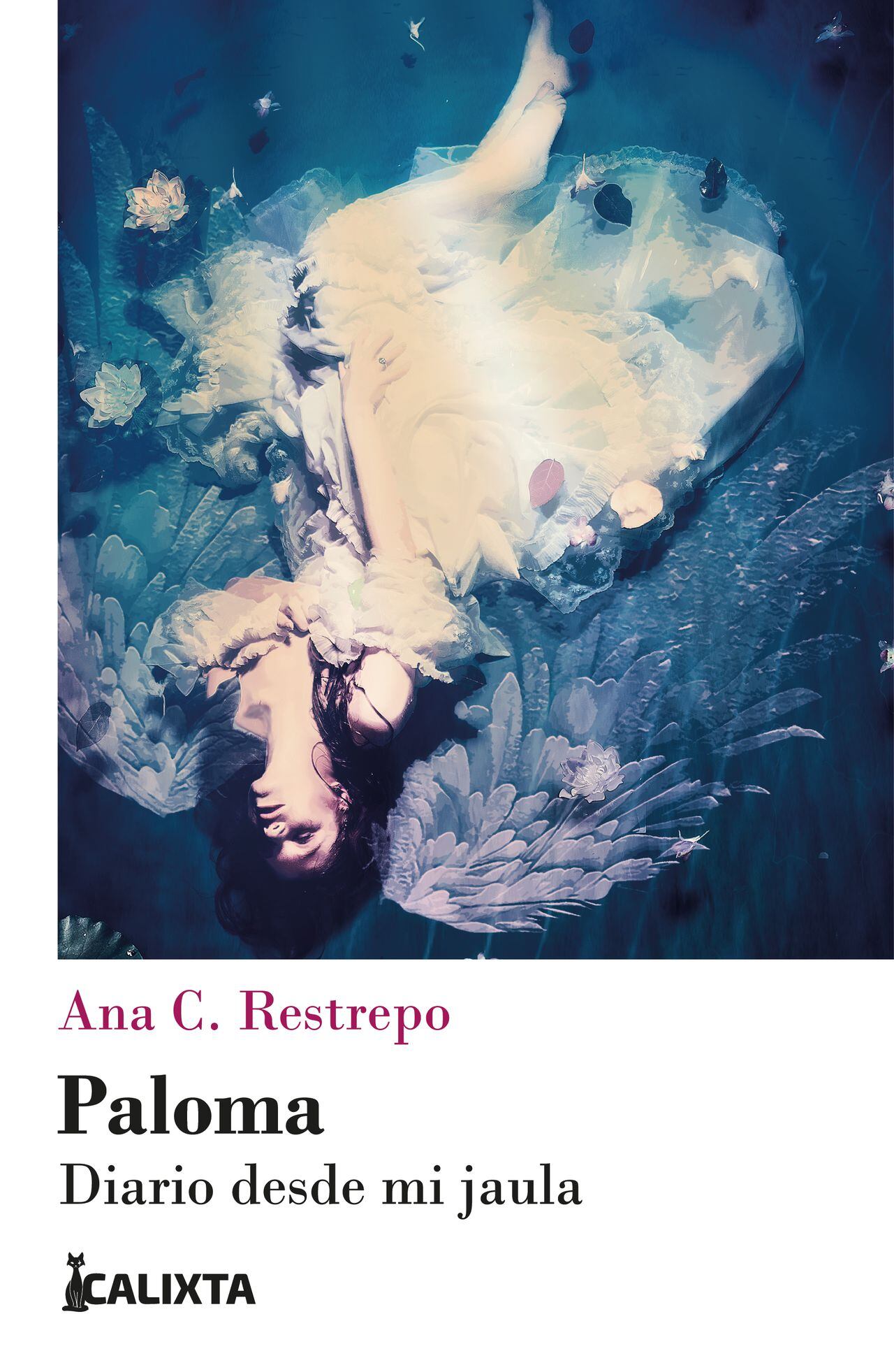 Ana Catalina Restrepo 'Paloma. Diario desde mi jaula'