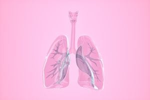 Las flemas se acumulan en los pulmones.
