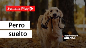 Perro suelto | Rodrigo Arenas en EduCANdo Manadas
