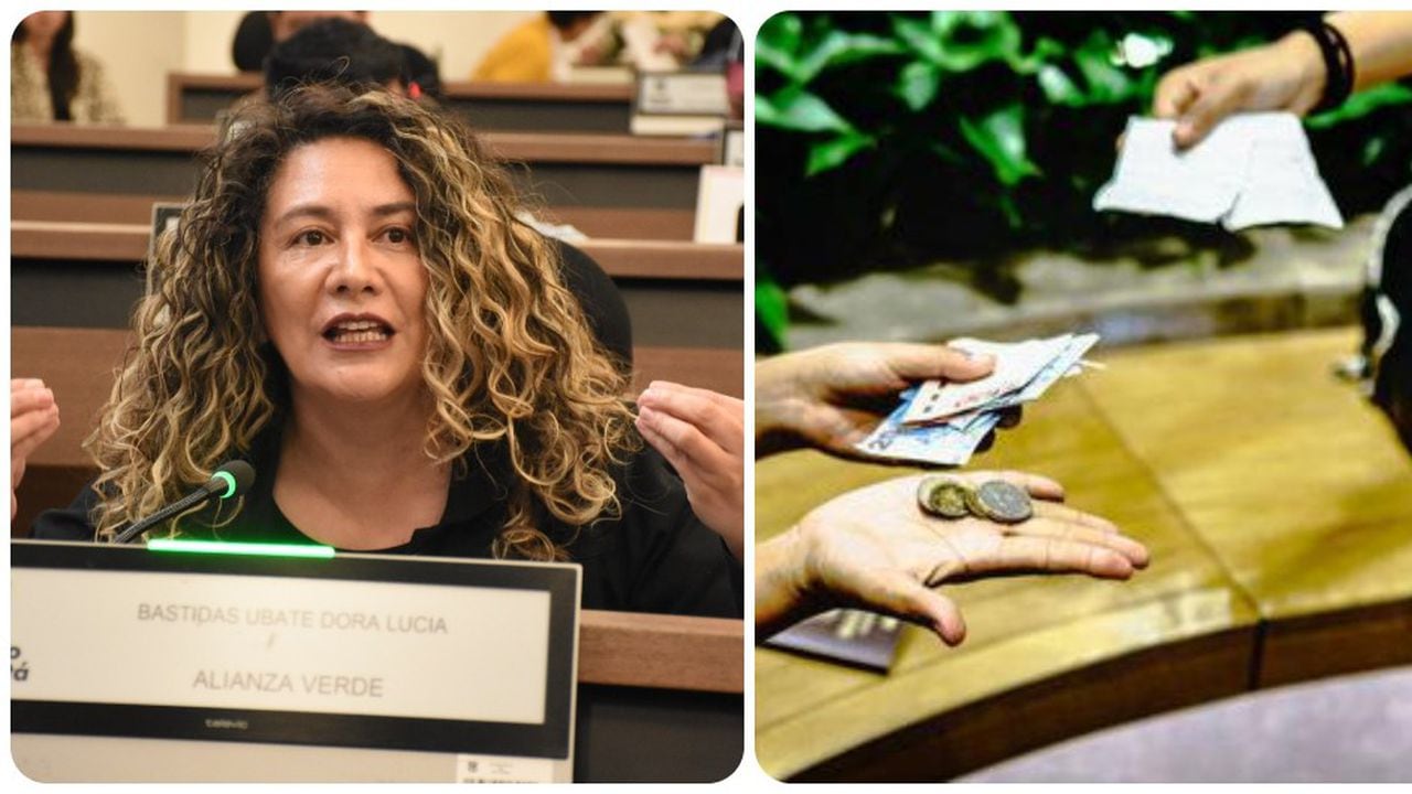 La concejal de Bogotá, por la Alianza Verde, Lucía Bastidas, le pidió al gobierno nacional y distrital establecer medidas para que las personas no caigan en los gota a gota.