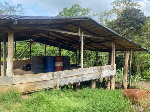 Las Fuerzas Militares destruyeron siete laboratorios para el procesamiento de droga en Chocó.