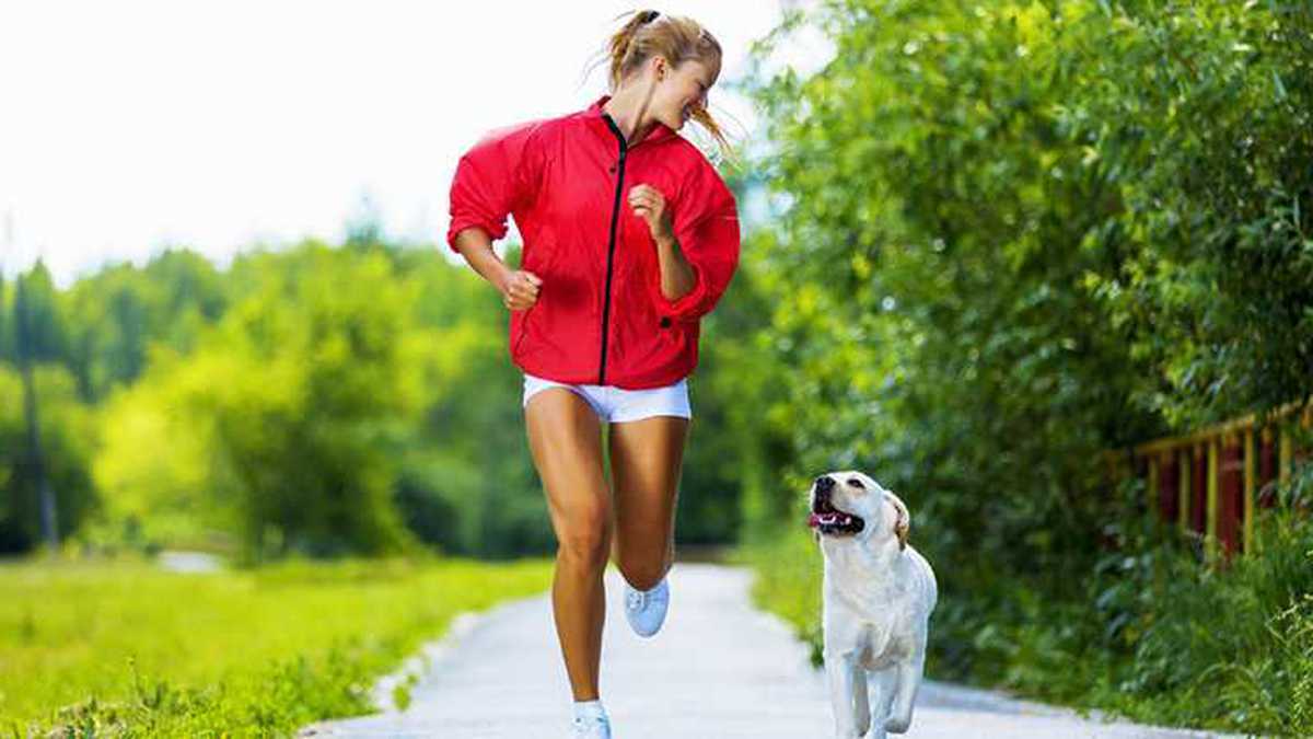 Evitar que el perro tenga una vida sedentaria y procurar que haga ejercicio puede alargar su existencia.