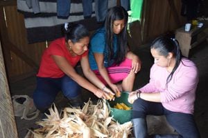 Los proyectos productivos que apoya ISA INTERCOLOMBIA, en alianza con ADEL, buscan fortalecer la independencia económica de las mujeres del pueblo Awá.
