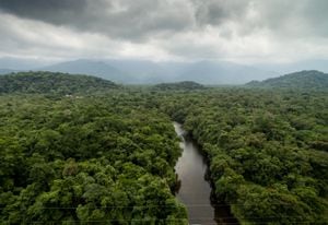 Vista aérea de una selva tropical en Brasil