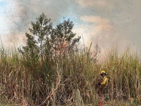 Los Bomberos de Cali controlan el incendio forestal en el sur de Cali, sector de Valle del Lili.