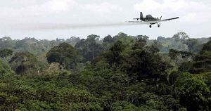 La fumigación aérea con glifosato se encuentra prohibida en Colombia desde 2015 por la Corte Constitucional. Foto: archivo/Semana.  