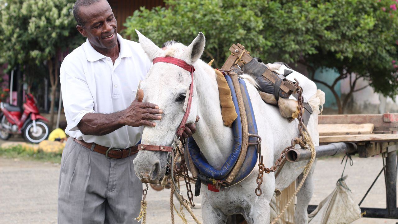 Durante más de 20 años Isidoro Perea Cuesta trabajó como cochero y palero con ayuda de su caballo ‘Blanco’.