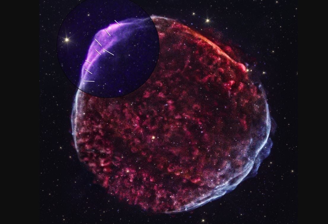 Imagen del SN 1006 remanente de supernova combina datos del explorador de polimetría de rayos X de imágenes de la NASA y el Observatorio de Rayos X de Chandra de la NASA.