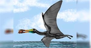 El hueso hallado del pterosaurio era alargado, plano y con muchas cavidades internas.