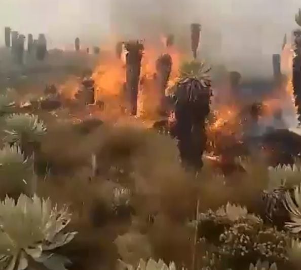 Bomberos Voluntarios de Sogamoso, en el departamento de Boyacá, atienden un incendio forestal en estado activo, en el páramo Siscunsí.