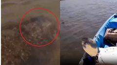 Hombre vivió momentos de pánico en el río Amazonas; fue atacado por extraña criatura