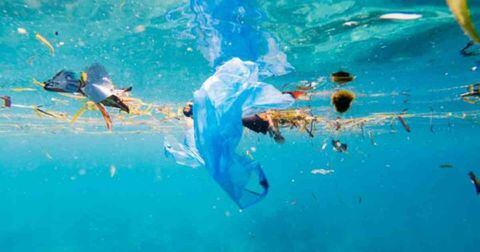 Contaminación en los océanos con plástico