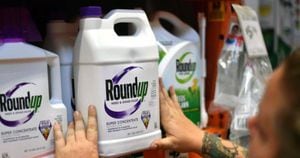 Roundup, producto hecho con base en glifosato fabricado por la empresa Monsanto. Foto: Getty Images. 