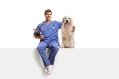 Guía para elegir al veterinario ideal